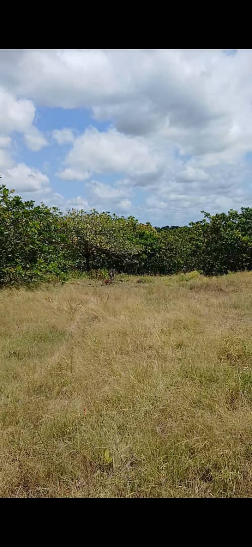 Une parcelle d'un hectare